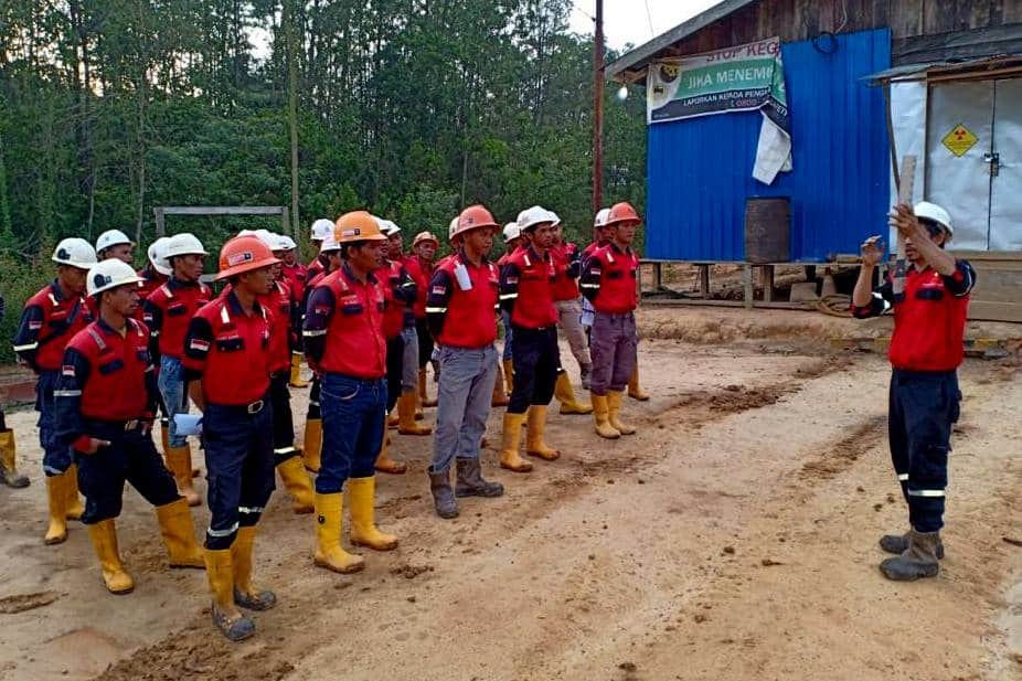 46377011_274208829899959_6222558724502847488_n